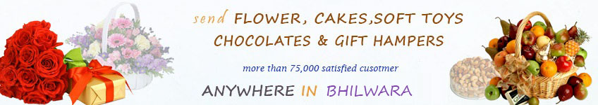 Send to Bhilwara Send to Bhilwara