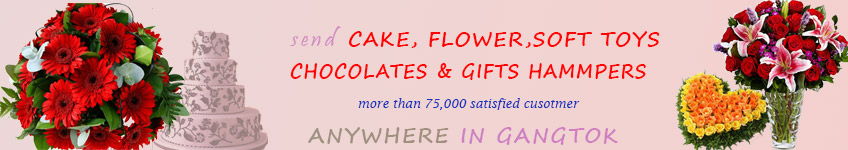 Send to Gangtok Send to Gangtok