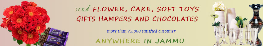 Send to Jammu Send to Jammu