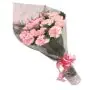 12 pink carnations bunch