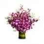 20 orchids in glass vase