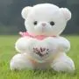 Small Teddy Bear