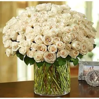 200 roses white roses vase arrangement