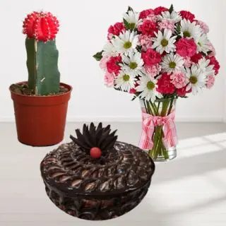 Mix flowers in glass vase with chocolate fudge cake with moon cactus plant