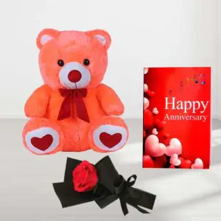 1 feet height teddybear with single red rose and anniversary greeting card 