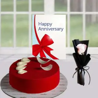 Half kg red velvet cake, single white rose anniversary Greeting card 