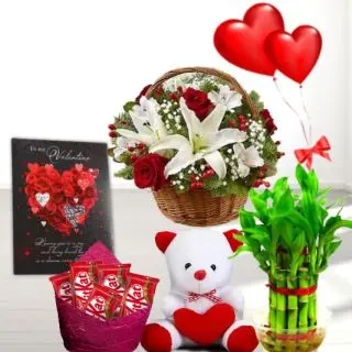 Basket of 15 red and yellow roses, 1 feet height teddy bear, Basket of 20 kit kat chocolates,  2 layer Lucky bamboo plant ,5 blown balloons with greeting card 