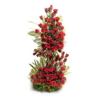 100 red roses arrangement with 2ft height