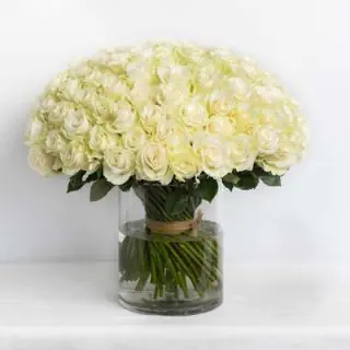 100 white roses arranged in glass vase 
