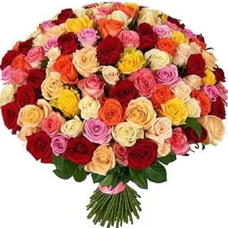 50 Dutch Roses bunch in mix colour