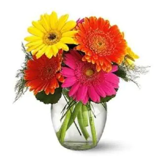 10 mix colour gerberas in glass vase