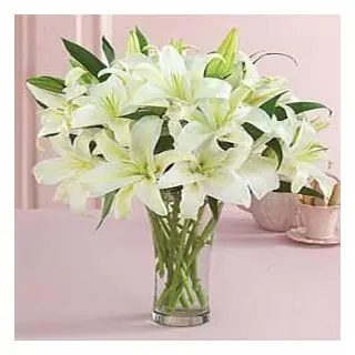 Vase arrangement of 10 white lilies