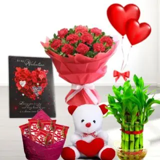 Bunch of 20 red carnations, Basket of 7 dairymilk silk, 2 Fivestar chocolates, 6 inch teddybear, 2 layer Lucky bamboo plant, 5 blown balloons with greeting card 