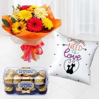 Bunch of 12 mix colour gerberas , 16 pcs rocher ferrero chocolates, photo cushion 