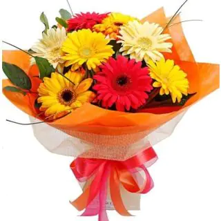 12 mix colour gerbera  bouquet with special packing