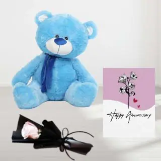 1 feet height teddy bear and single white rose with anniversary greeting card 