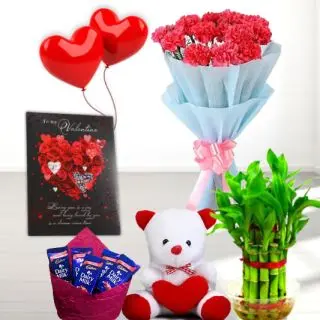 Bunch of 10 pink carnations, Basket of 7 dairymilk silk, 2 Fivestar chocolates, 6 inch teddybear, 2 layer Lucky bamboo plant, 5 blown balloons with greeting card