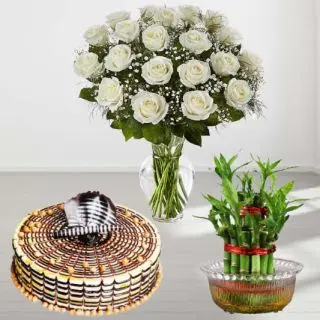 20 white roses in glass vase with 1 pound premium butterscotch cake with 2 layer lucky bamboo plant