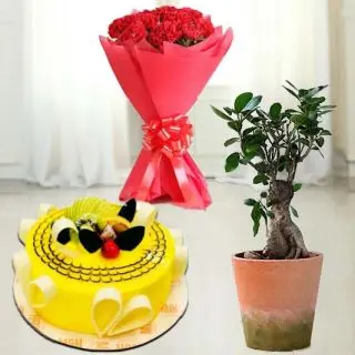 10 red carnations bouquet with 1 pound pineapple fresh cream cool cake with ficus plant in pot