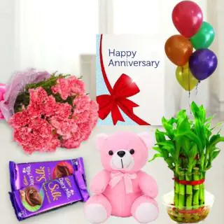 Bunch of 10 pink carnations , set of 2 dairy milk silk chocolates, 6 inch height teddybear , 2 layer Lucky bamboo plant ,5 blown balloons with anniversary greeting card