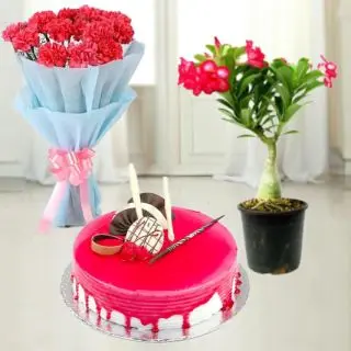 Bouquet of 12 red carnations with 1 pound strawberry cake with red adenium plant