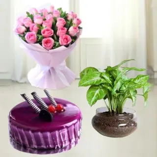 20 pink roses bouquet with 1 pound black currant cake with money plant terranium