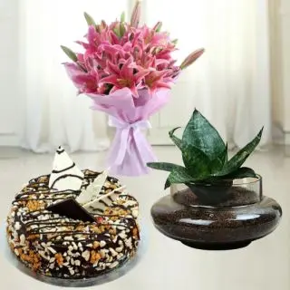5 pink lilies in glass vase , 1 pound chocolate walnut cake , synserveirea plant in glass bowl