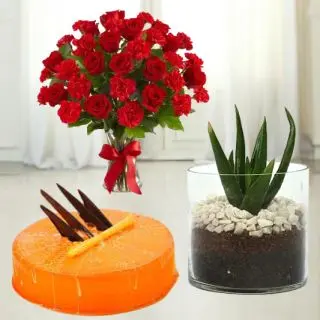 20 red carnations with red roses , Half kg Orange cool  cake with aloe vera plant in vase
