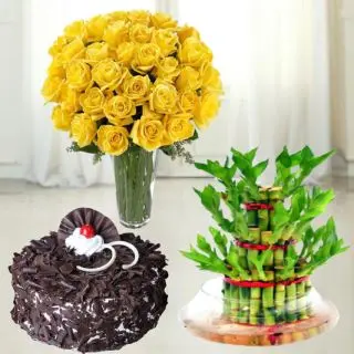 30 yellow roses in glass vase , 1 pound black forest cool cake with 3 layer lucky bamboo plant