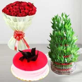 50 red roses bouquet , 1 pound strawberry cool cake , 3 layer lucky bamboo plant