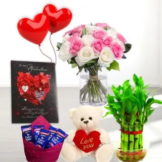 20 pink and white roses in glass vase, 1 feet height teddybear, pack of 5 dairy milk chocolates, 2 layer Lucky bamboo plant, 5 blown balloons with greeting card 