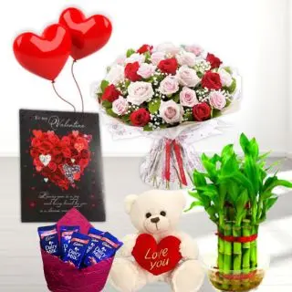 Bunch of 20 red and pink roses,1 feet height teddybear, pack of 5 dairy milk chocolates, 2 layer Lucky bamboo plant, 5 blown balloons with greeting card 