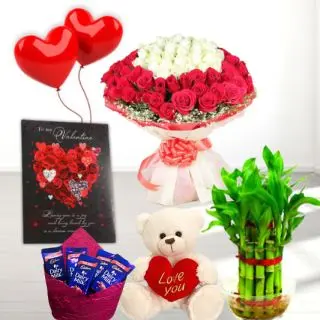 Bunch of 100 red and white roses, 1 feet height teddybear, pack of 5 dairy milk chocolates, 2 layer Lucky bamboo plant, 5 blown balloons with greeting card