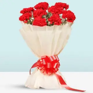 Bunch of 20 red carnations