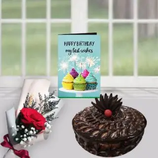 1 kg chocolate fudge cake, single red rose, Birthday card 