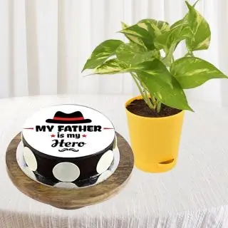 1 kg photo cake in vanilla flavour with money plant in pot 