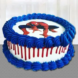  spiderman photo print cake 