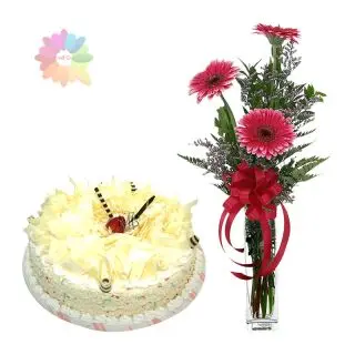 1 Kg white forest fresh cream cake with 3 pink gerberas arranged in glass vase