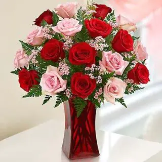20 red and pink roses in glass vase