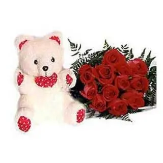 20 Red Roses bunch wit 6 inch Teddy