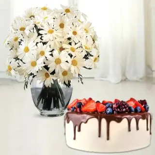 20 white gerberas vase arrangement with choco strawberry cool cake 