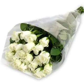 20 white roses bunch 
