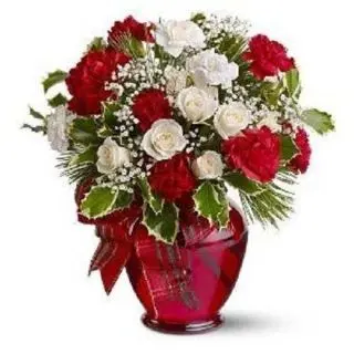 20 red carnations with 20 red roses arranged in vase