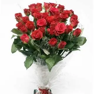 25 red Roses bunch