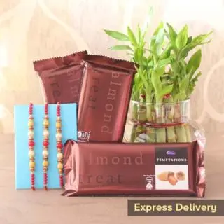 2 layer lucky bamboo plant , 3 temptations chocolate with set of 3 rakhis 