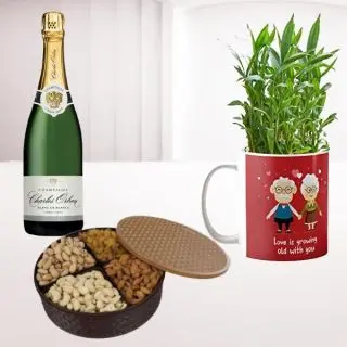 2 layer lucky bamboo plant in photo mug, Box of Half kg assorted dry fruits, Bottle of champagne 