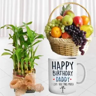 2 layer lucky bamboo plant , photo mug, with 2 kg seasonal fruit basket 