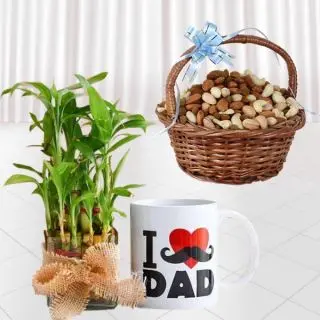 2 layer lucky bamboo plant, photo mug with half kg assorted dryfruits basket 