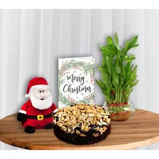 2 layer lucky bamboo plant , santa soft toy, christmas greeting card with cashew plum cake