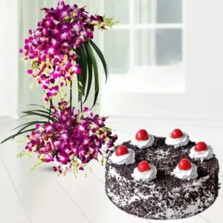 2 storey exclusive arrangement with  2 feet height full of lavender orchids with premium black forest  cake 